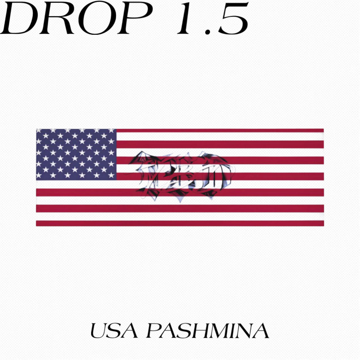 USA PASHMINA
